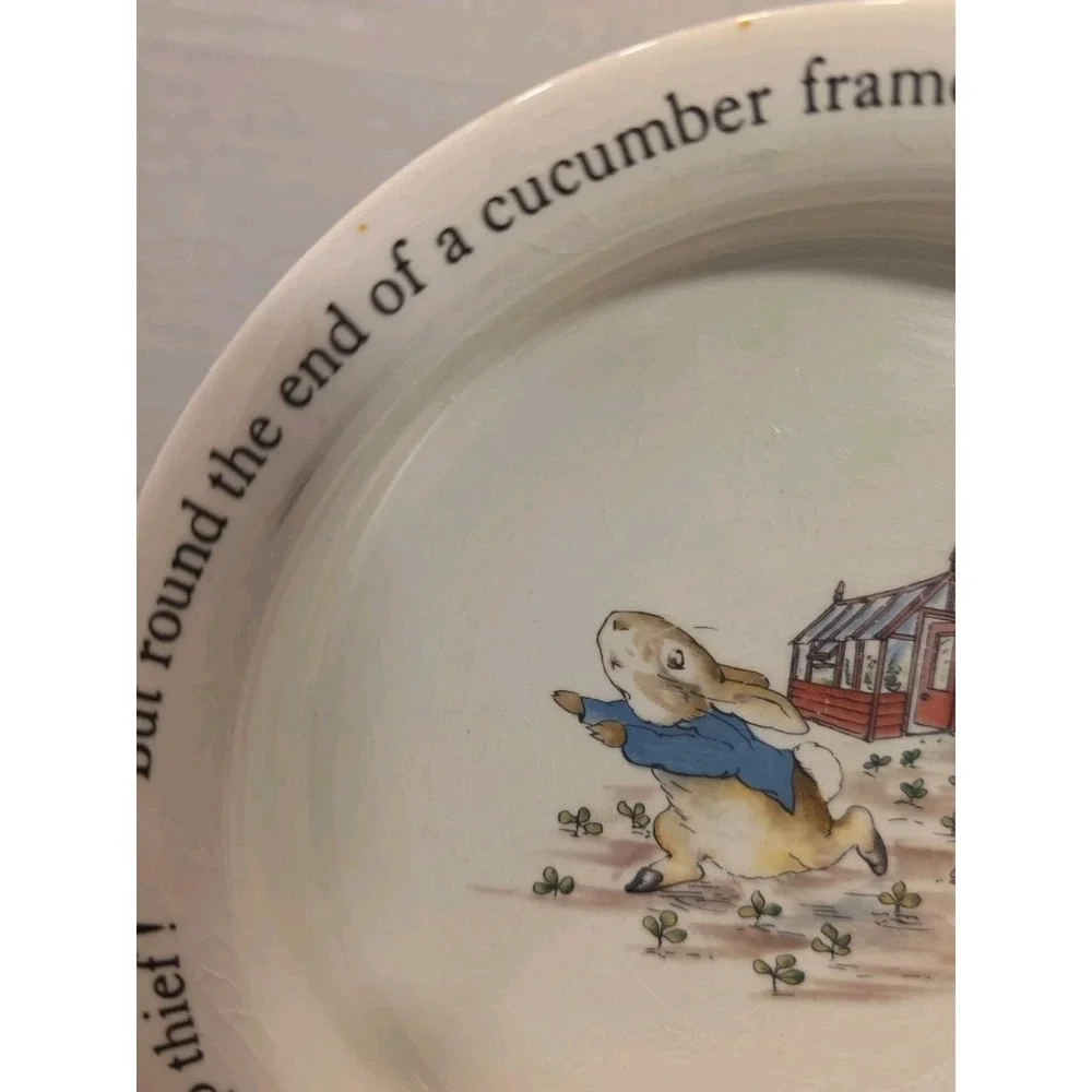 Vintage Wedgwood Beatrix Potter Peter Rabbit 7